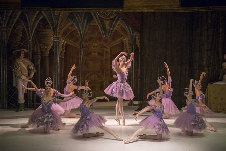 The Sleeping Beauty Ballet